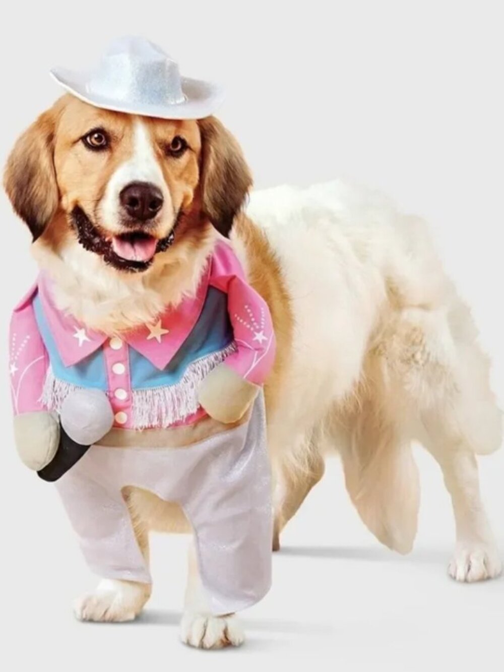 Boots & Barkley Dog Frontal Cowboy Costume Sz. S NWT